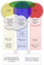 Management Workflow